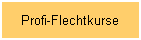 Profi-Flechtkurse