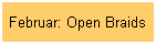 Februar: Open Braids